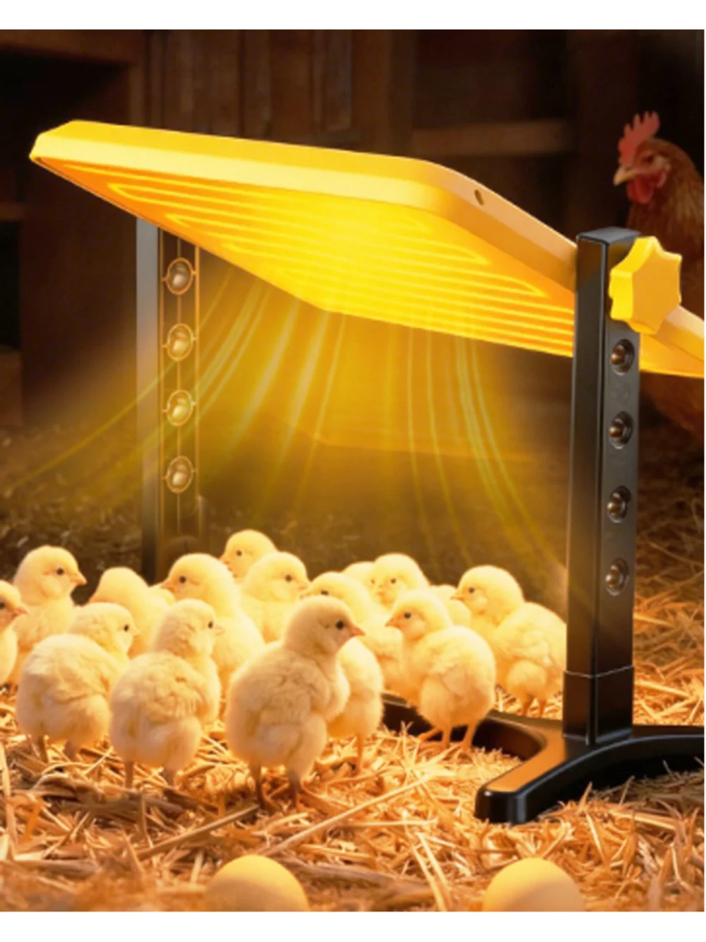 Lobeline Portable Chicken Heater One Size Black and Yellow NIB